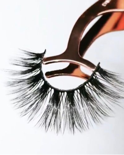 WhatsApp Image 2023-03-01 at 12.02.40 PM (10) WhatsApp Image 2023-03-01 at 12.02.40 PM (10)